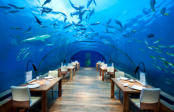 Ithaa Undersea Restaurant, Maldivi,Podvodni restoran, okružen koralnim grebenom, la vie de luxe, magazin, haute cuisine